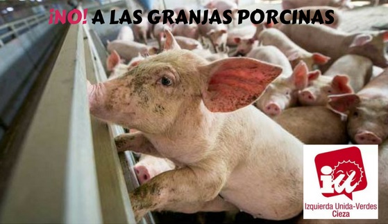 NO A LAS GRANJAS PORCINAS