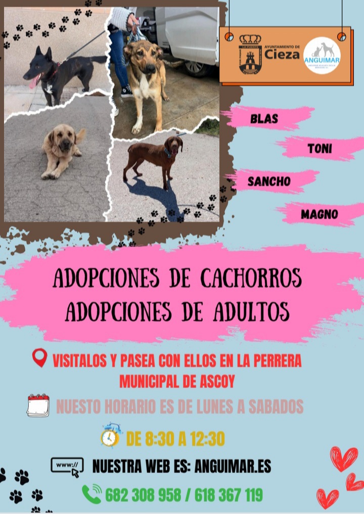 Campaa